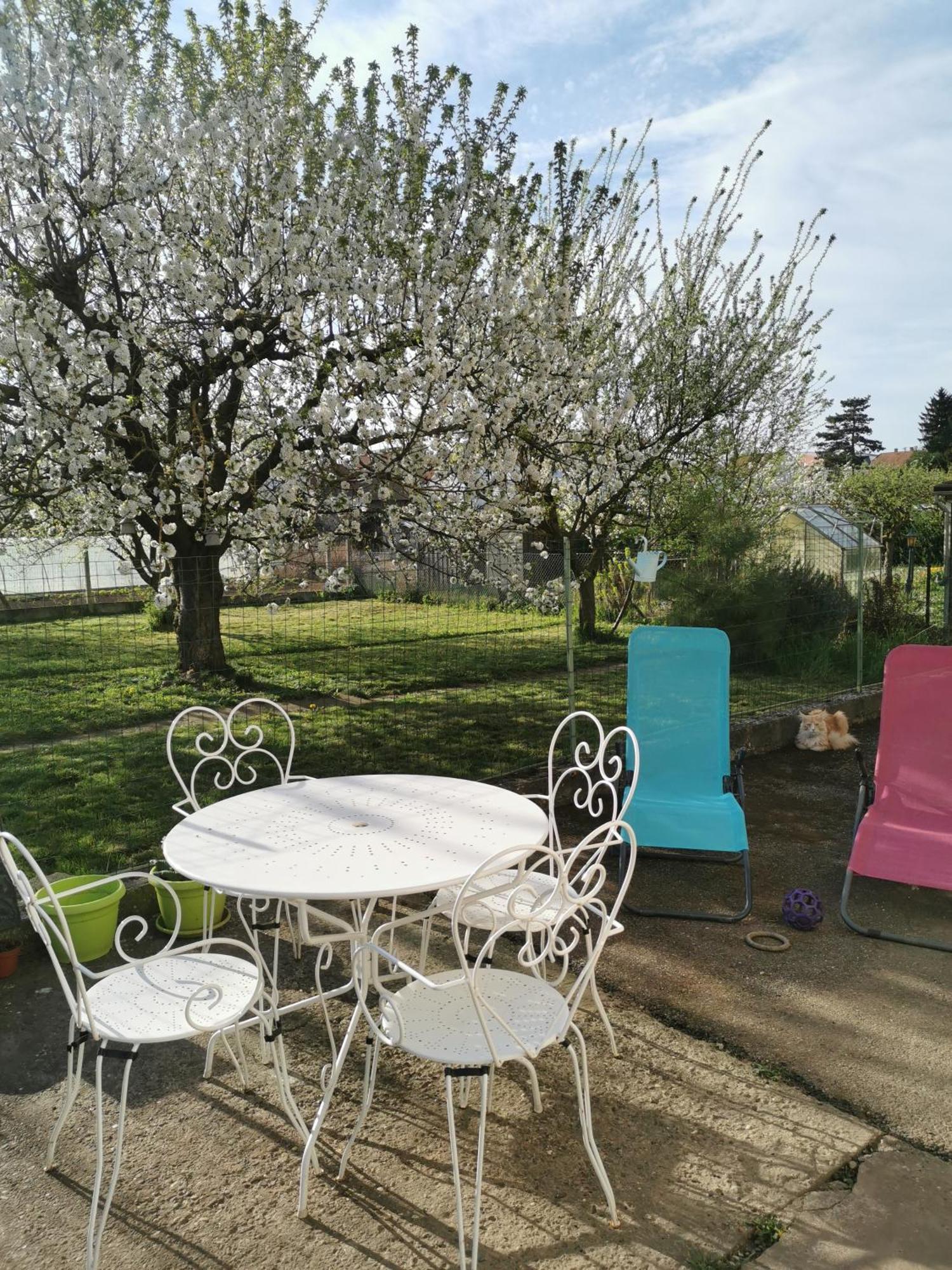 Maison Les 3 Roses Wolfisheim Exterior foto